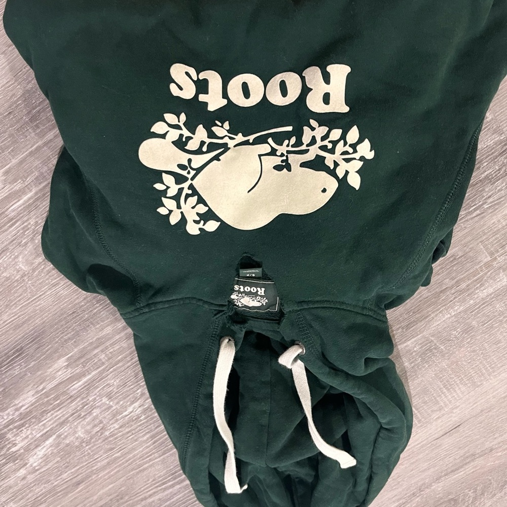 roots green hoodie